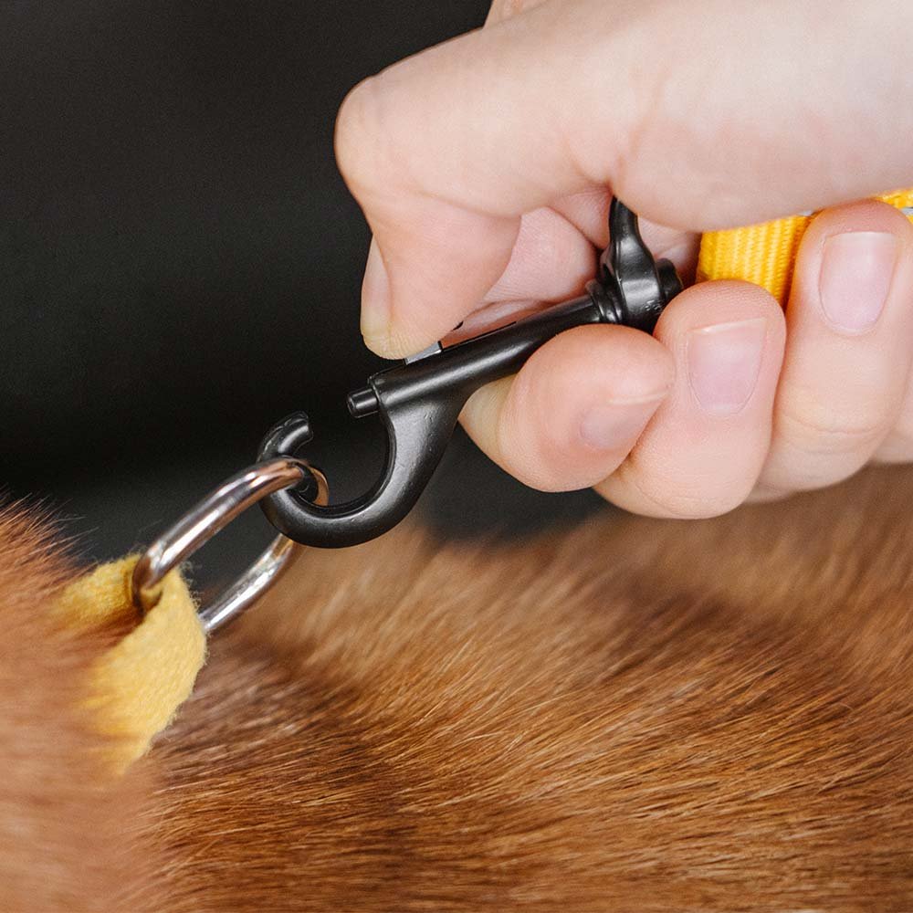 CoolPaw Buffer - Verstelbare veilige Hondenautoriem - Duke & Scoop