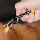 CoolPaw Buffer - Verstelbare veilige Hondenautoriem - Duke & Scoop