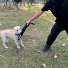 Drijvende Bijtstick voor Honden - Duke & Scoop