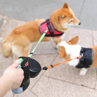 Dualleash - Anti Twist Riem - Duke & Scoop