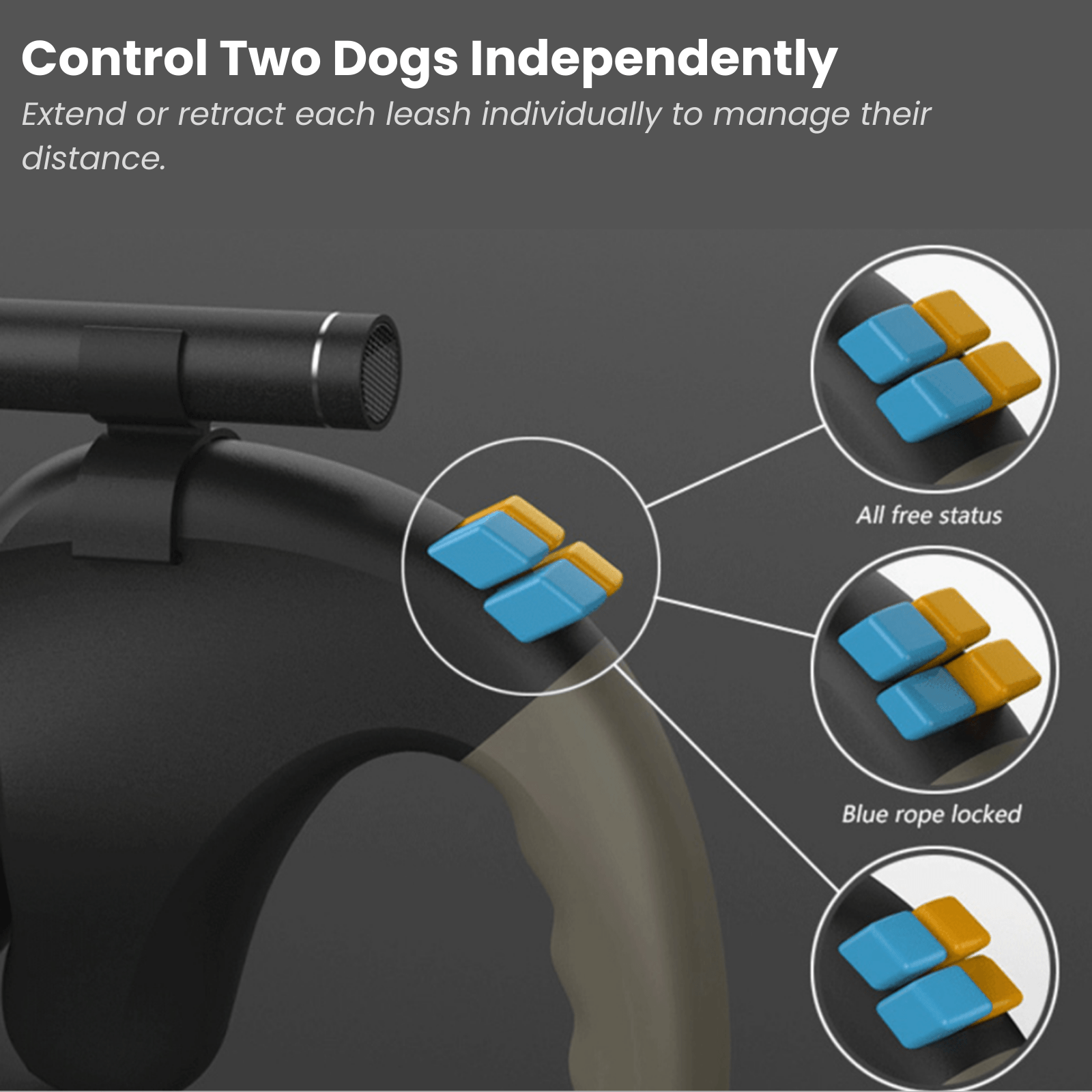 Dubbele Flexiriem - Duke & Scoop