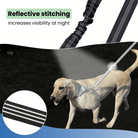 Dubbele Hondenriem - Schokabsorberend - Duke & Scoop