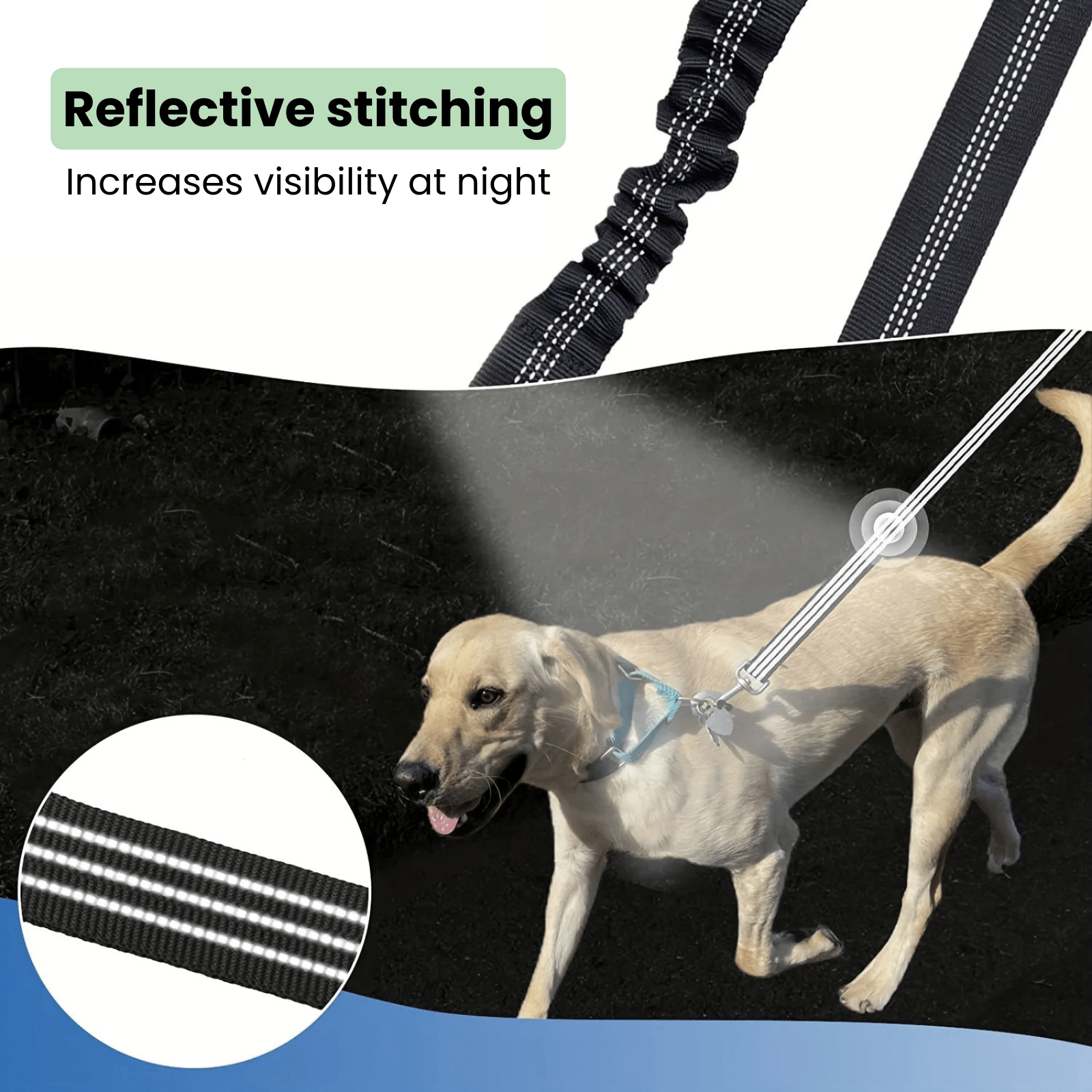 Dubbele Hondenriem - Schokabsorberend - Duke & Scoop