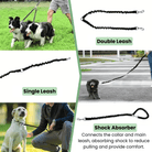 Dubbele Hondenriem - Schokabsorberend - Duke & Scoop
