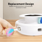 Elektronisch Speelgoed – Automatische Veer & Rollende Bal - Duke & Scoop