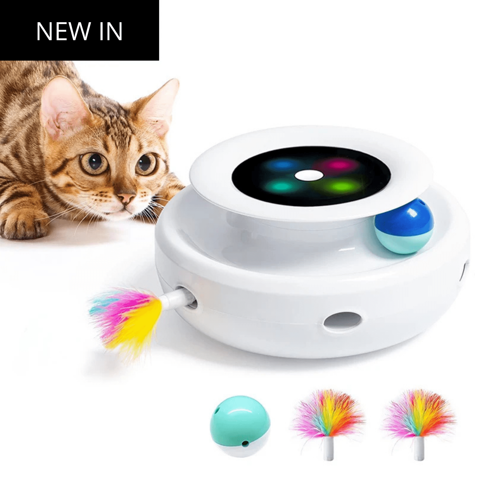 Elektronisch Speelgoed – Automatische Veer & Rollende Bal - Duke & Scoop