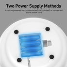 Elektronisch Speelgoed – Automatische Veer & Rollende Bal - Duke & Scoop