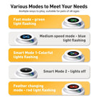 Elektronisch Speelgoed – Automatische Veer & Rollende Bal - Duke & Scoop