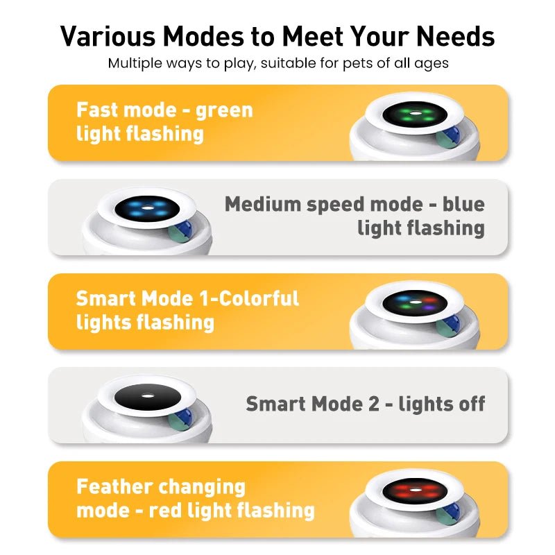 Elektronisch Speelgoed – Automatische Veer & Rollende Bal - Duke & Scoop