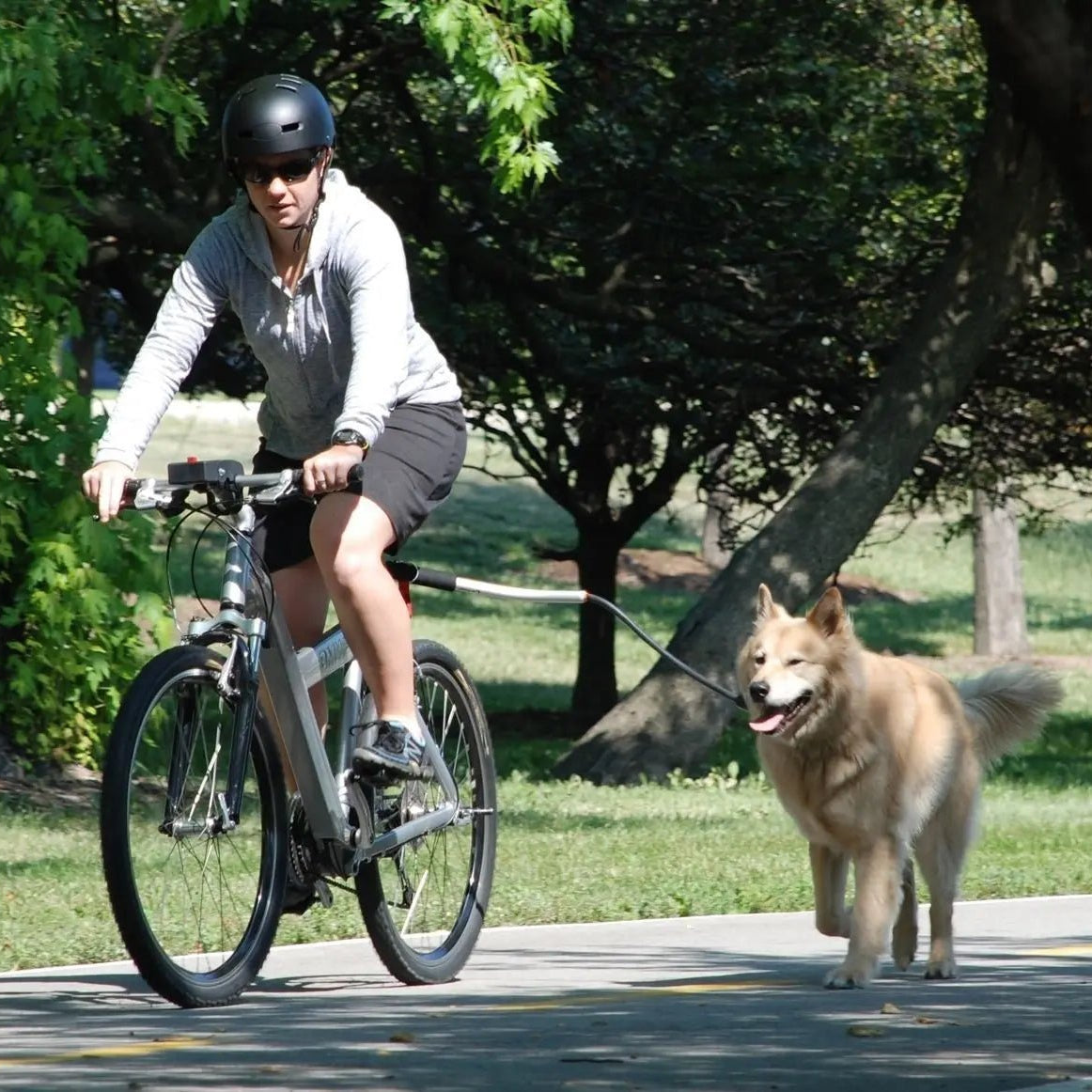 Fiets hondenriem met Metalen Bevestiging - Duke & Scoop