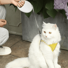 Flexi Riem (3M/5M) - Duke & Scoop