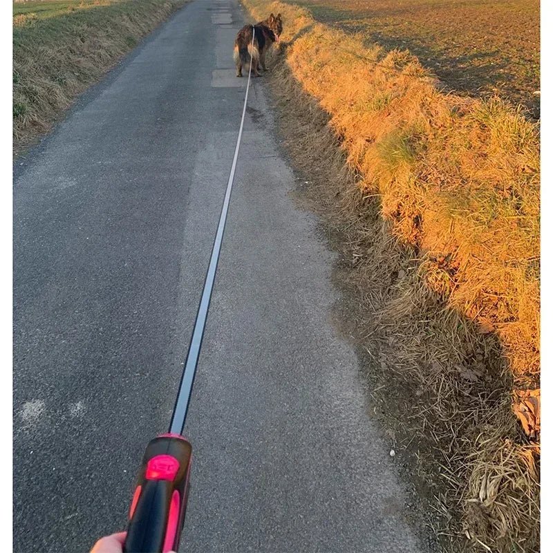 FlexiWalk Uittrekbare Hondenriem - Duke & Scoop