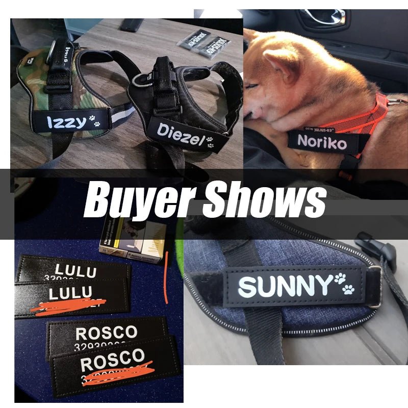 Gepersonaliseerde Klittenband Naamlabel voor Hondentuig - Duke & Scoop