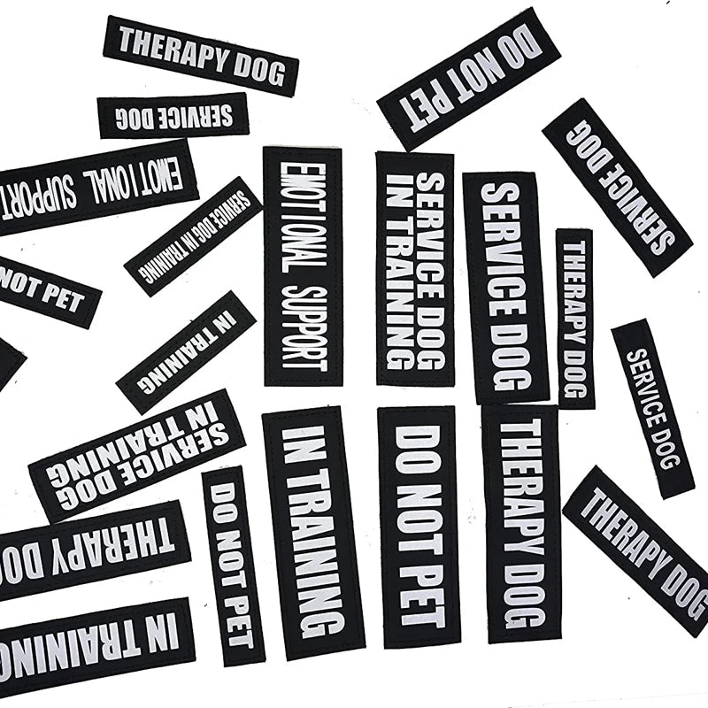 Gepersonaliseerde Klittenband Naamlabel voor Hondentuig - Duke & Scoop