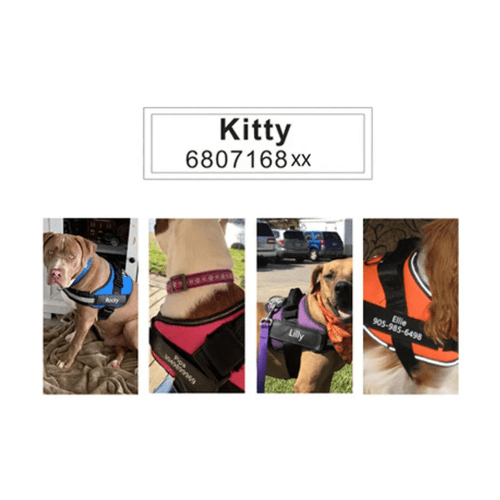 Gepersonaliseerde Klittenband Naamlabel voor Hondentuig - Duke & Scoop