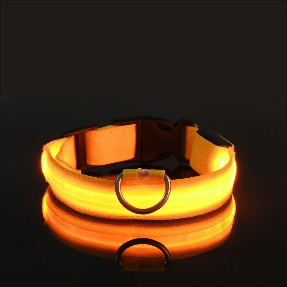 GlowBuddy – LED Halsband voor Honden - Duke & Scoop