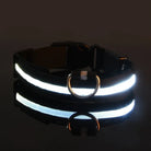 GlowBuddy – LED Halsband voor Honden - Duke & Scoop