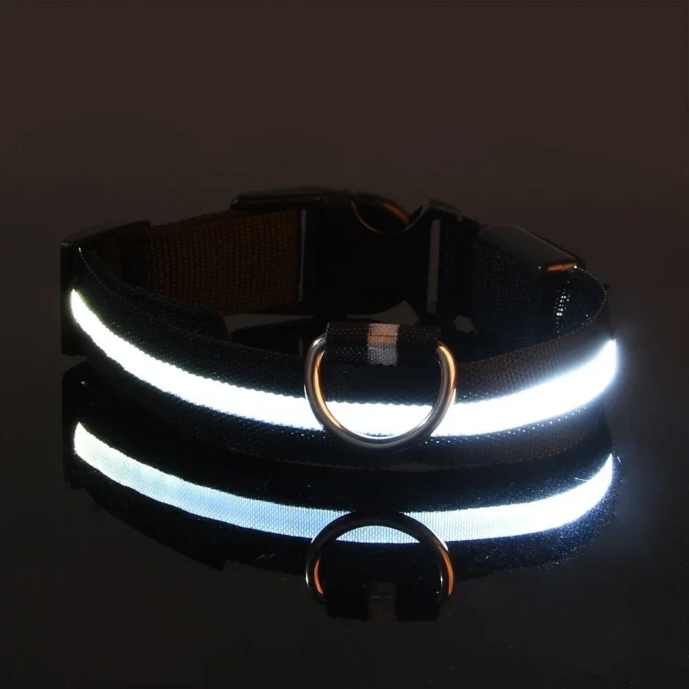 GlowBuddy – LED Halsband voor Honden - Duke & Scoop