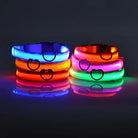 GlowBuddy – LED Halsband voor Honden - Duke & Scoop
