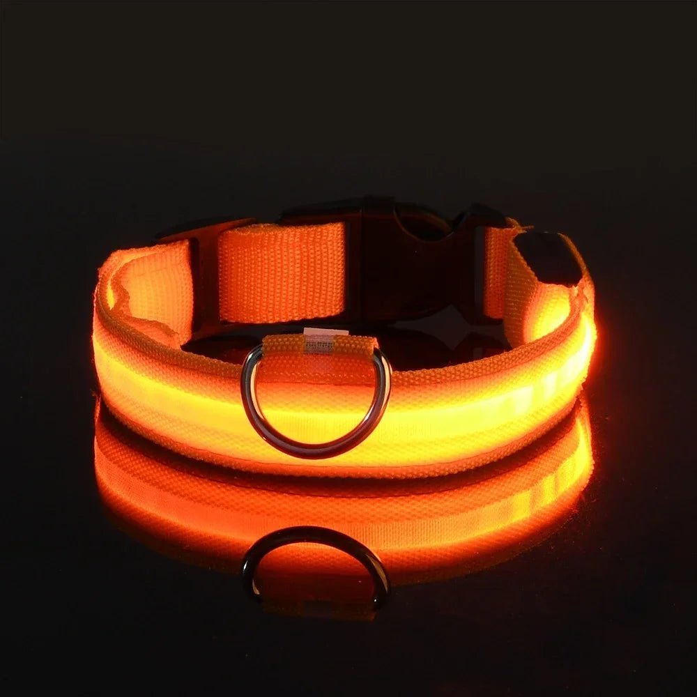 GlowBuddy – LED Halsband voor Honden - Duke & Scoop