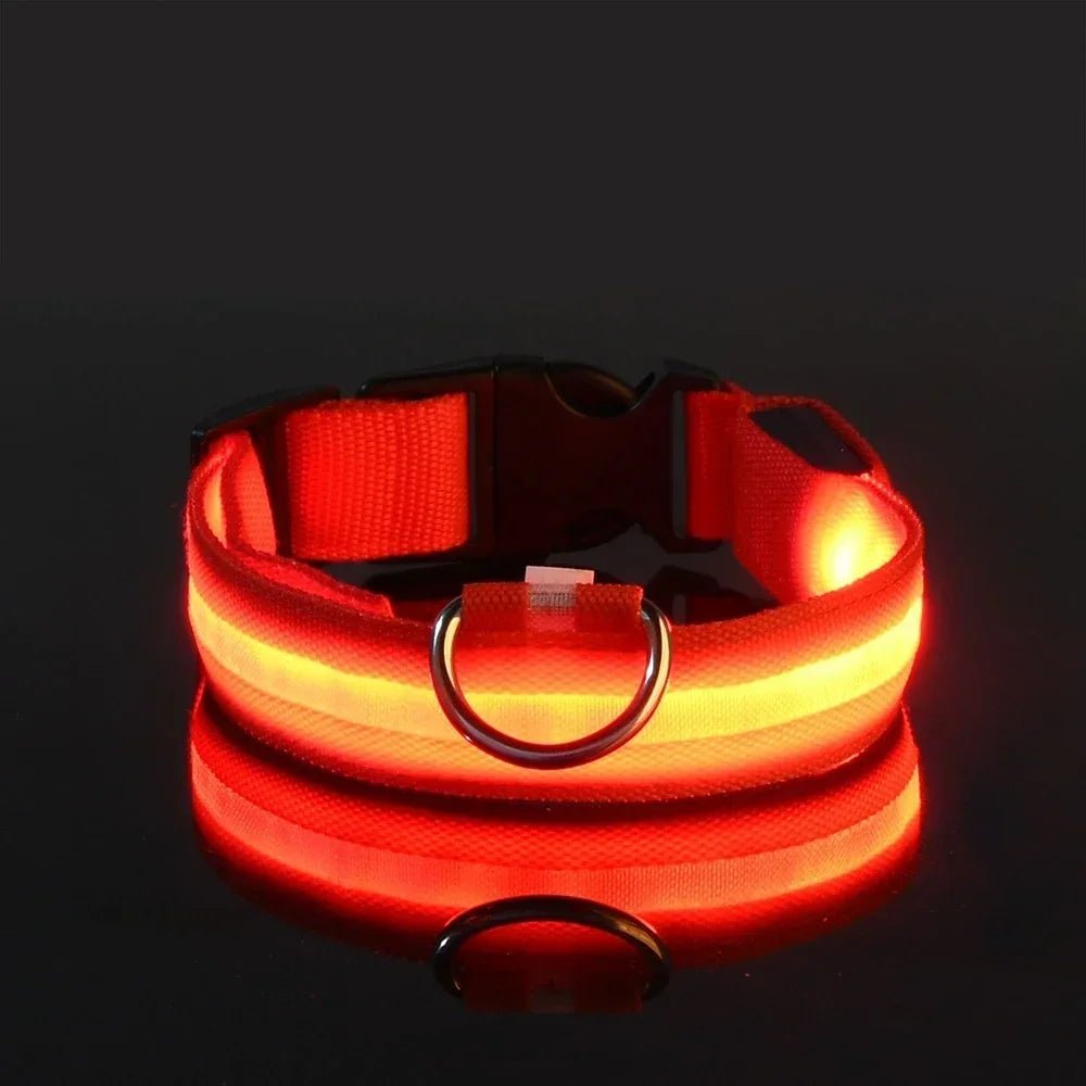 GlowBuddy – LED Halsband voor Honden - Duke & Scoop