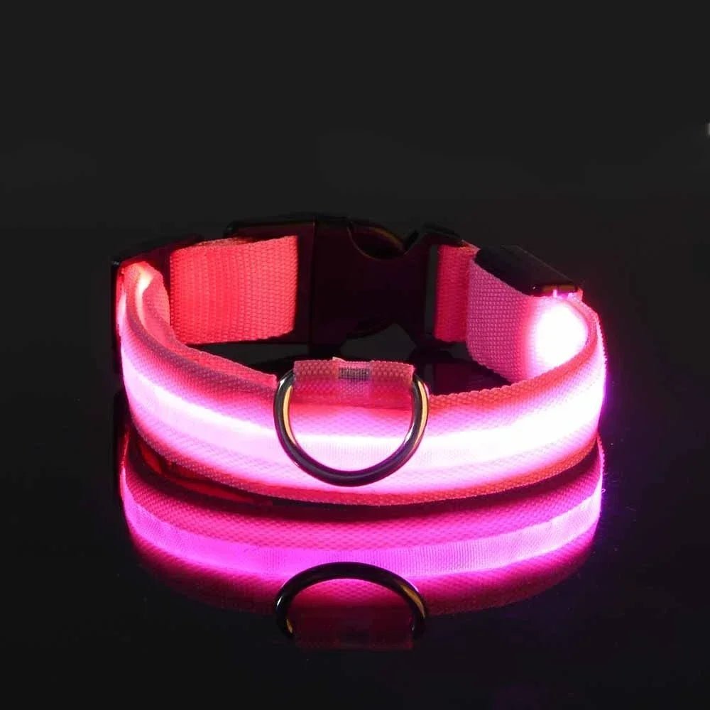 GlowBuddy – LED Halsband voor Honden - Duke & Scoop