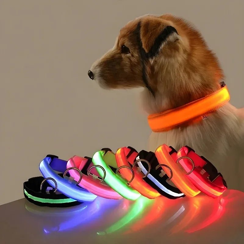 GlowBuddy – LED Halsband voor Honden - Duke & Scoop