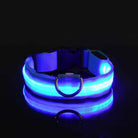 GlowBuddy – LED Halsband voor Honden - Duke & Scoop