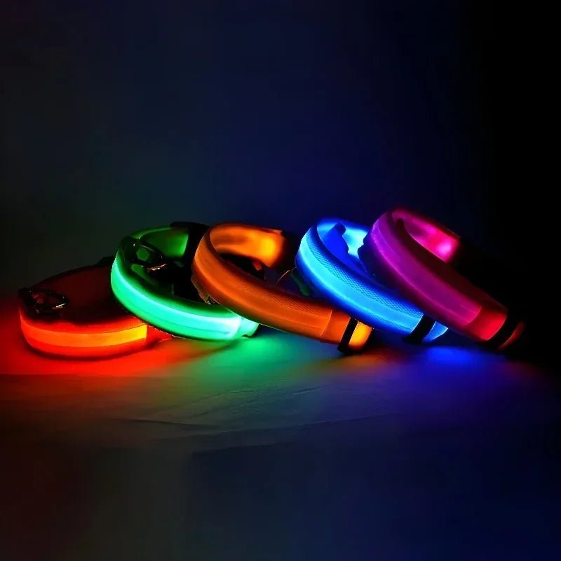 GlowBuddy – LED Halsband voor Honden - Duke & Scoop