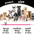 GlowPaws LED Halsband Oplaadbaar - Duke & Scoop