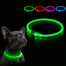 GlowPaws LED Halsband Oplaadbaar - Duke & Scoop
