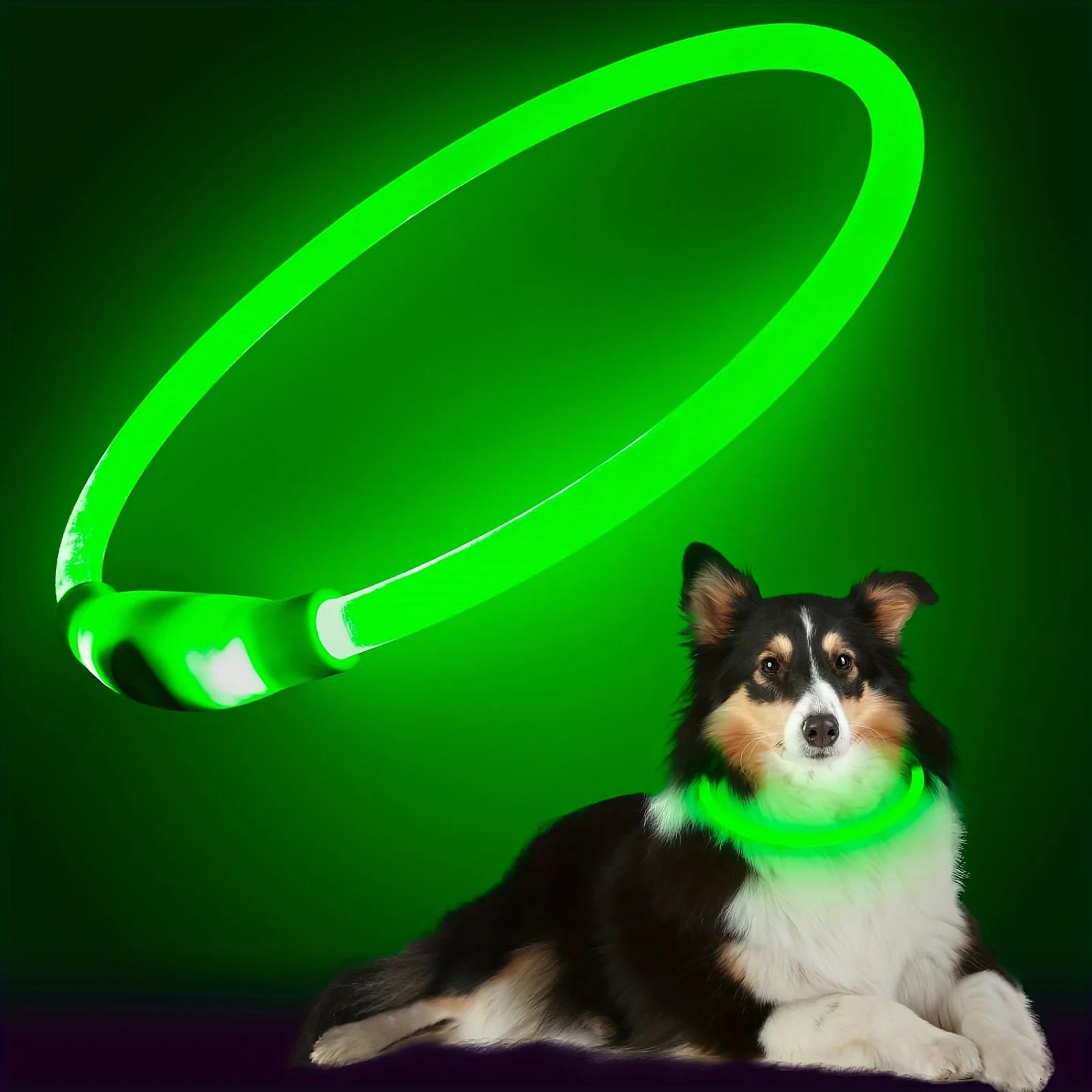 GlowPaws LED Halsband Oplaadbaar - Duke & Scoop