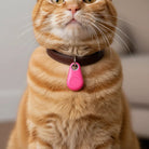 GPS Tracker Mini – Slimme Draadloze Tracker - Duke & Scoop