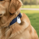 GPS Tracker Mini – Slimme Draadloze Tracker - Duke & Scoop