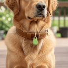 GPS Tracker Mini – Slimme Draadloze Tracker - Duke & Scoop