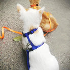 H - vorm Tuigje met Looplijn - Duke & Scoop