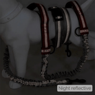 Handsfree Hondenriem – Heupriem voor Hardlopen & Wandelen - Duke & Scoop