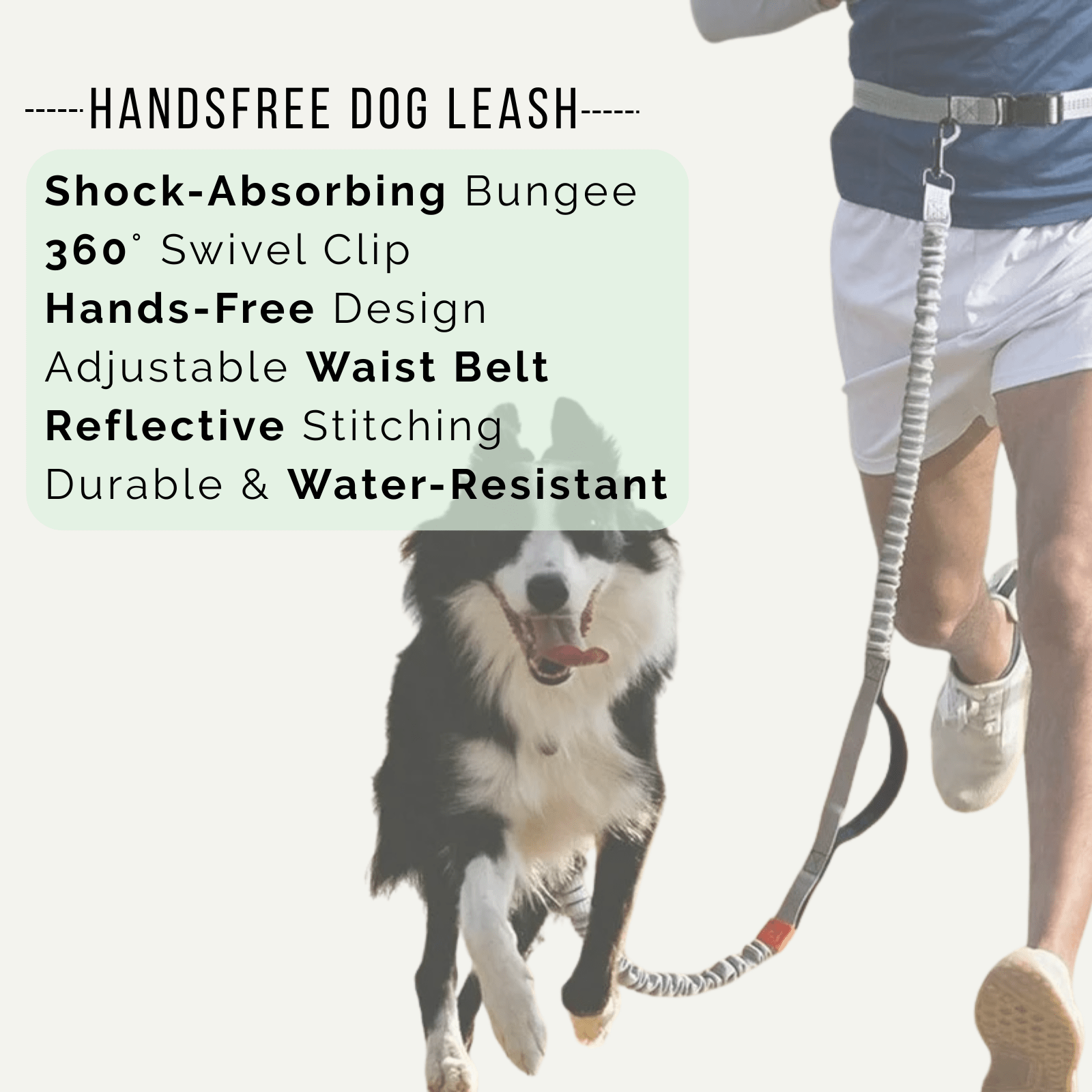 Handsfree Hondenriem – Heupriem voor Hardlopen & Wandelen - Duke & Scoop