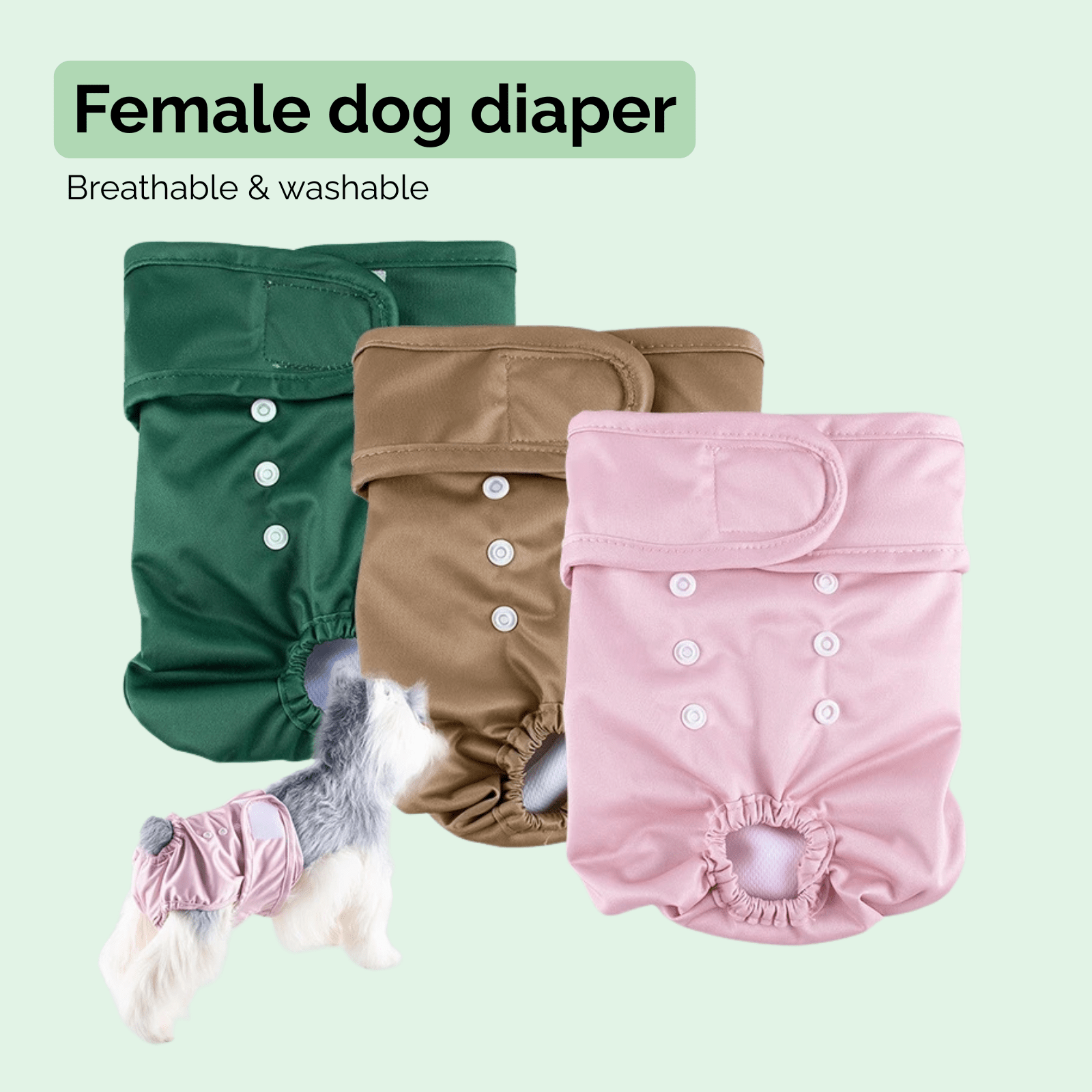 Herbruikbare Hondenluier voor Teefjes - Duke & Scoop