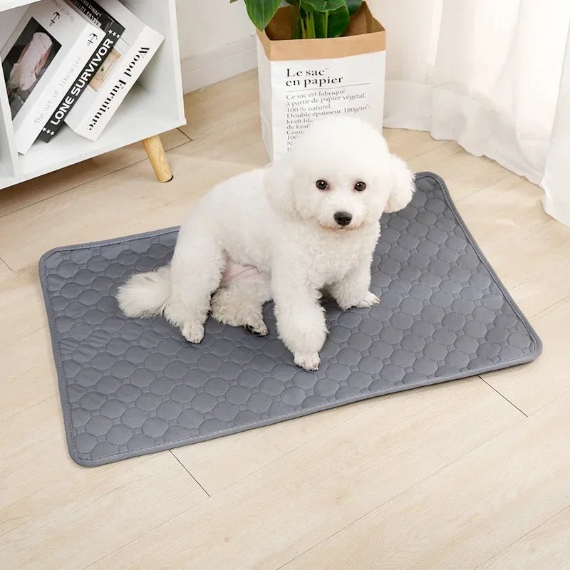 Herbruikbare Hondenplasmat – Wasbare Puppy Training Pad - Duke & Scoop