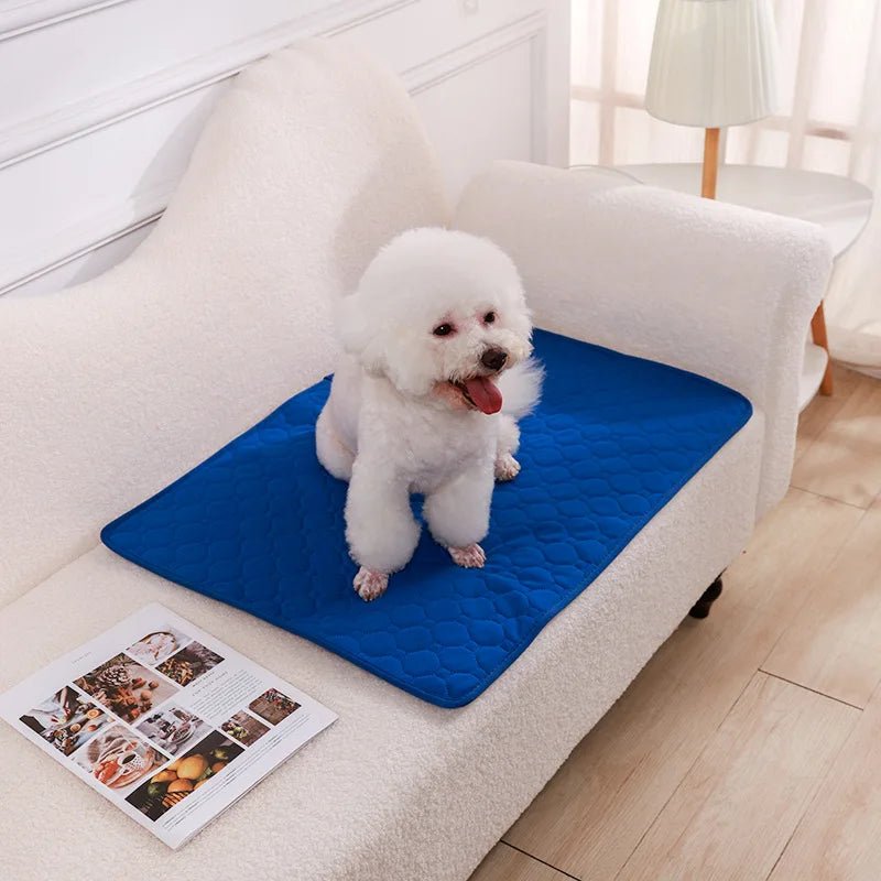 Herbruikbare Hondenplasmat – Wasbare Puppy Training Pad - Duke & Scoop