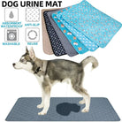 Herbruikbare Hondenplasmat – Wasbare Puppy Training Pad - Duke & Scoop
