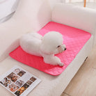 Herbruikbare Hondenplasmat – Wasbare Puppy Training Pad - Duke & Scoop