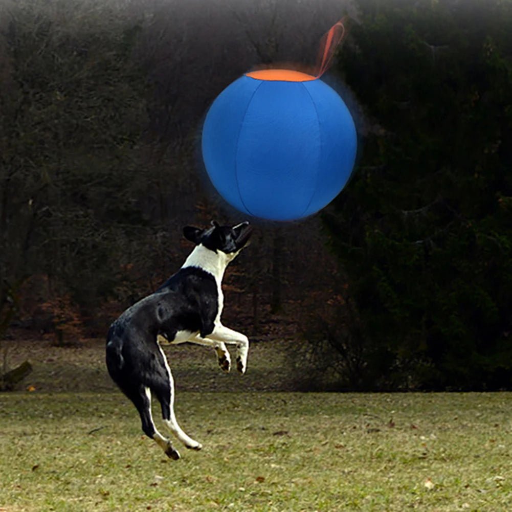 HerdMaster - Opblaasbare Herderbal - Duke & Scoop