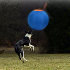 HerdMaster - Opblaasbare Herderbal - Duke & Scoop