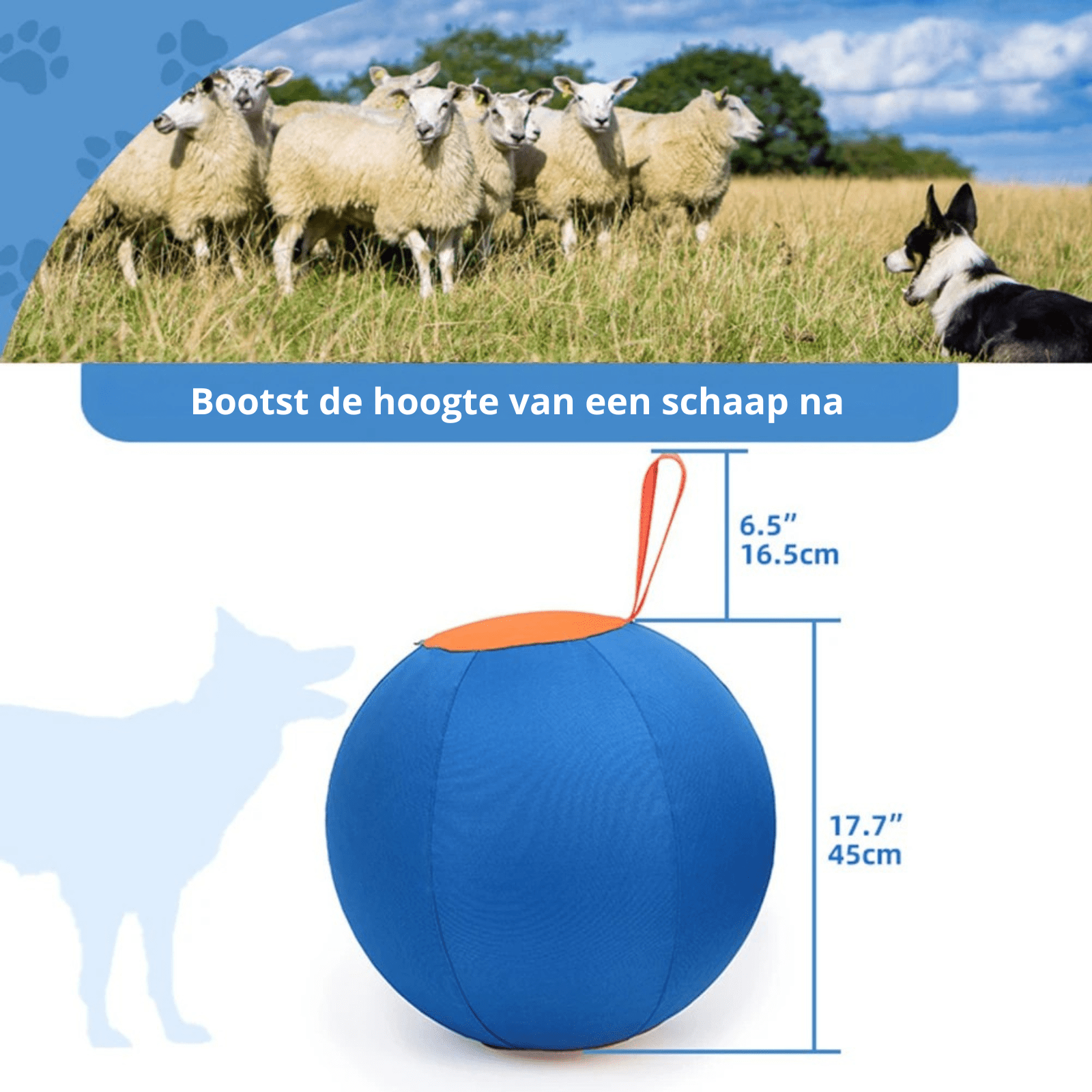 HerdMaster - Opblaasbare Herderbal - Duke & Scoop