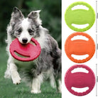 Honden Frisbee Speelgoed - Duke & Scoop
