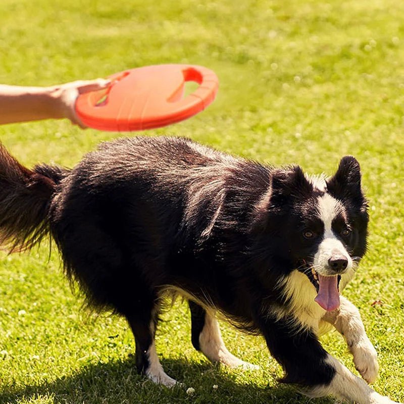 Honden Frisbee Speelgoed - Duke & Scoop
