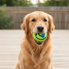 Honden Speelbal met Geluid - Hondenspeelgoed - Interactieve Hondenspeelbal - Duke & Scoop