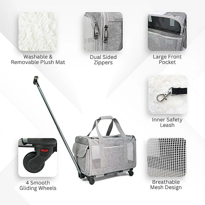 Hondenbuggy & Hondenkar – Opvouwbare Kinderwagen voor Huisdieren - Duke & Scoop